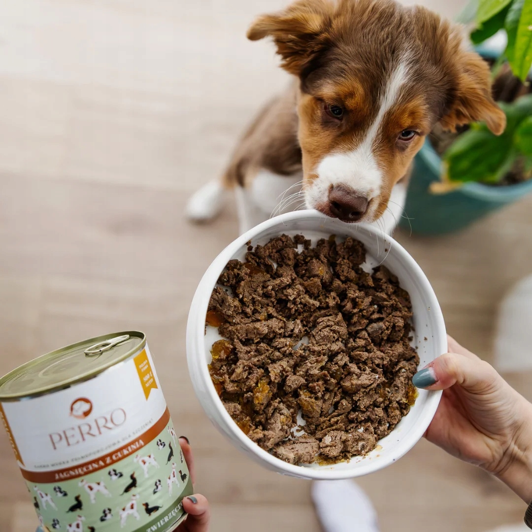 perro. karma mokra junior jagnięcina z cukinią monobiałkowa 800g perro. karma mokra junior jagnięcina z cukinią monobiałkowa 800g