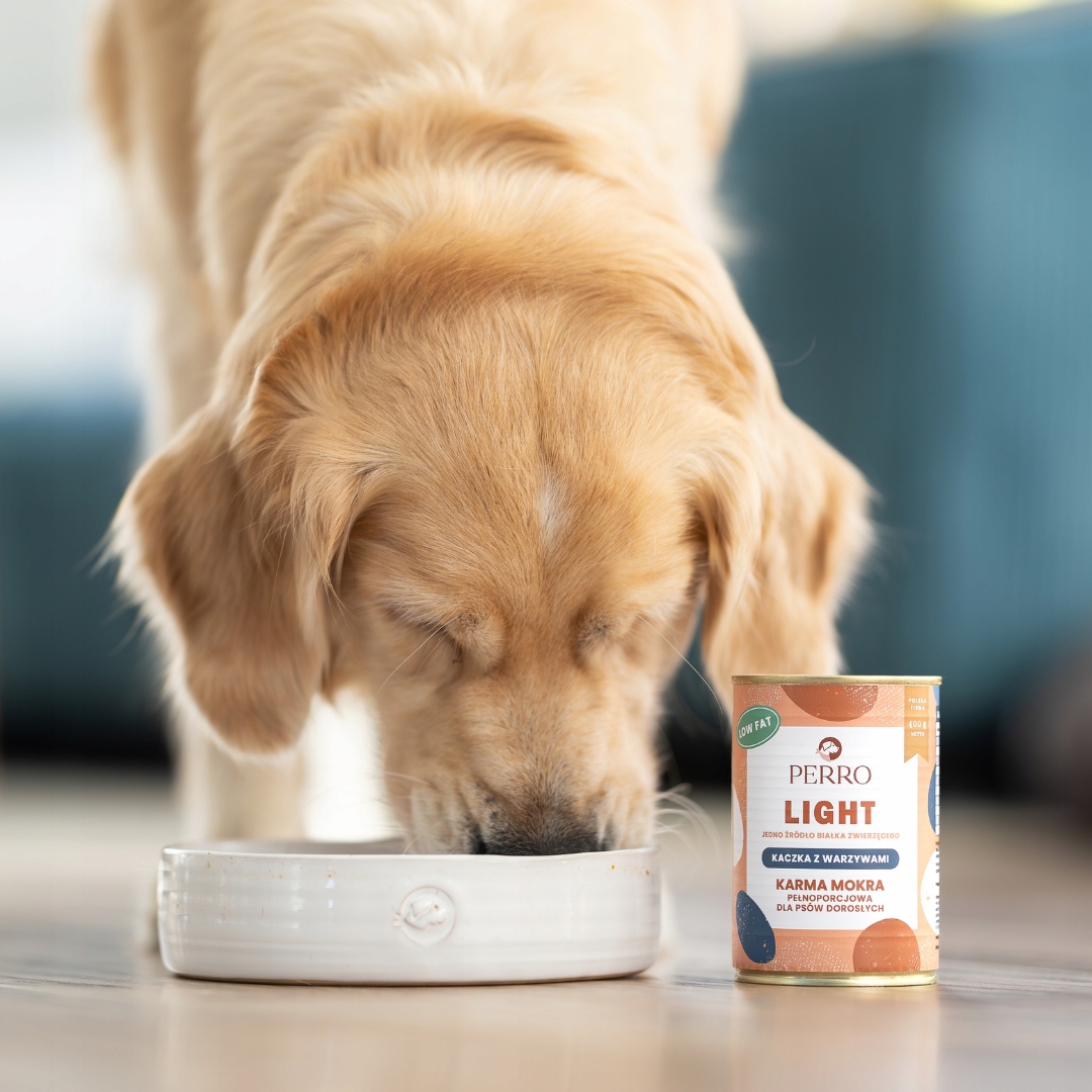 perro. mokra karma dla psa light kaczka z warzywami 400g perro. mokra karma dla psa light kaczka z warzywami 400g