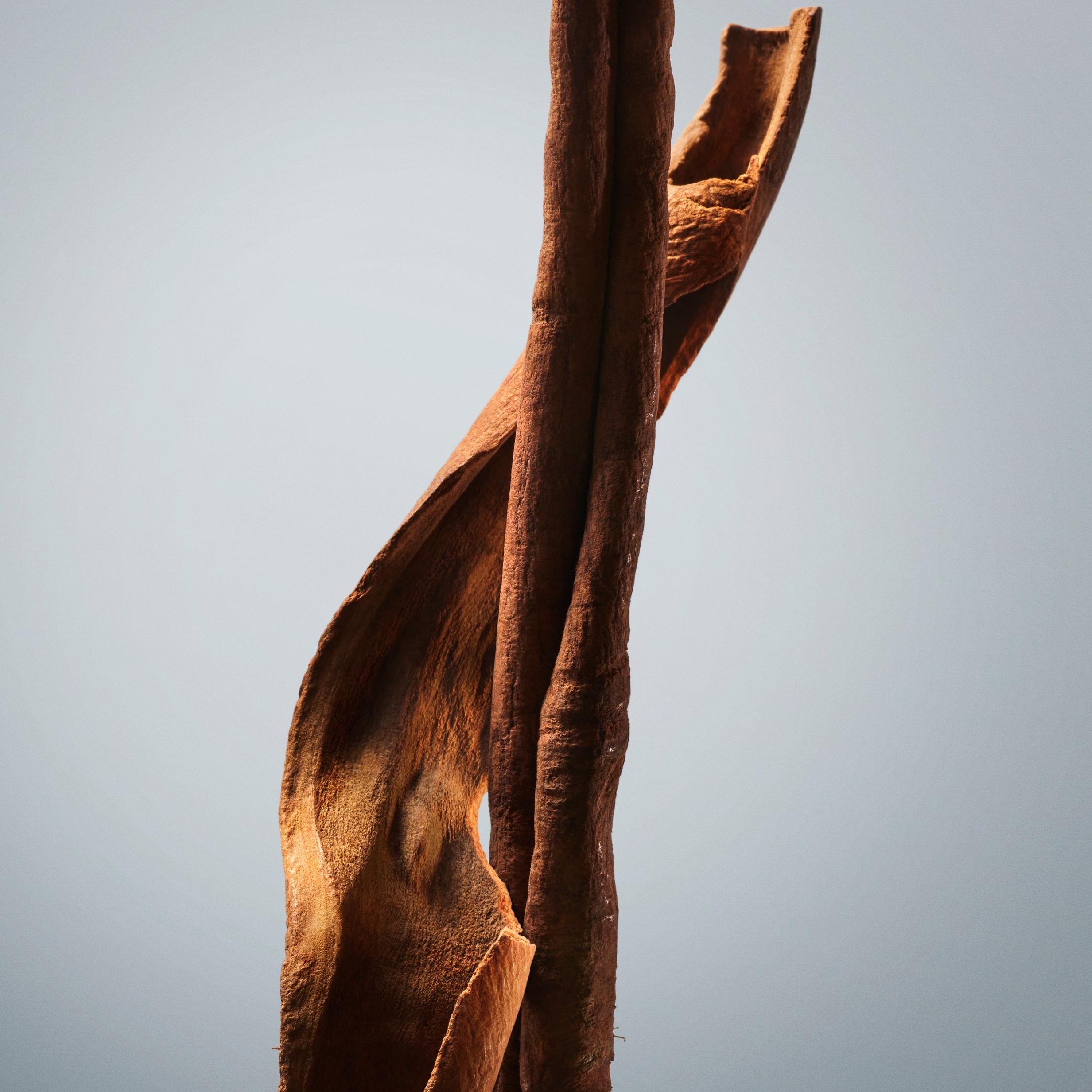 Hugo Boss Bottled 100 ml woda toaletowa mężczyzna EDT