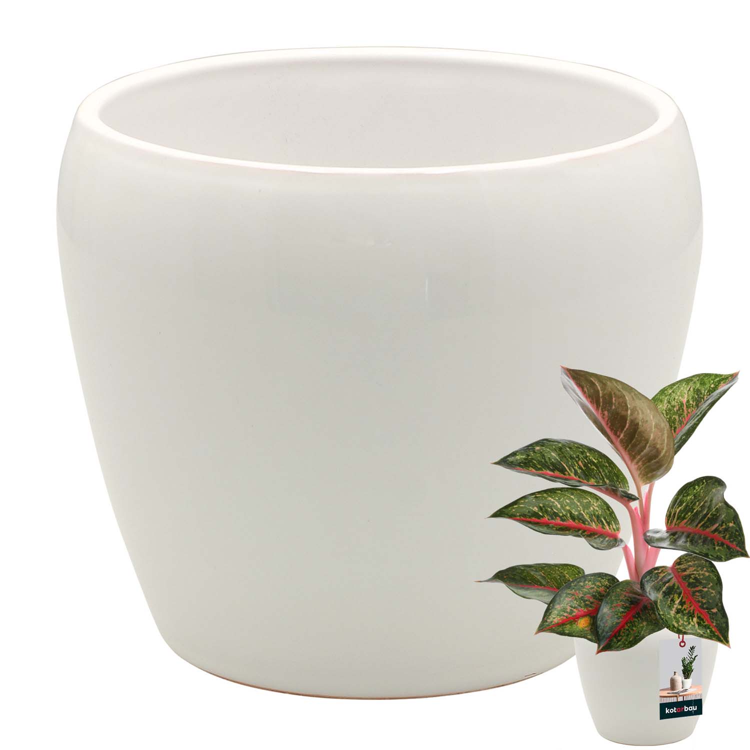 KOTARBAU® Blumentopf Weiß glasierte Keramik Blumenübertopf Pflanzentopf Topf