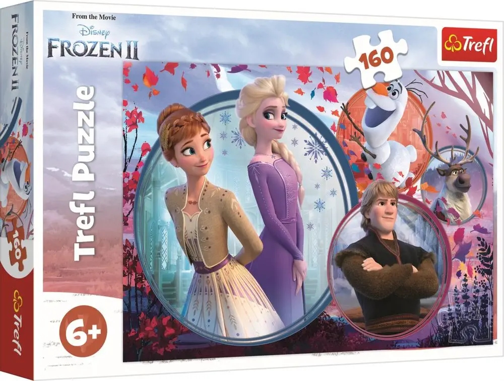 Puzzle 160: Siostrzana przygoda (15374)