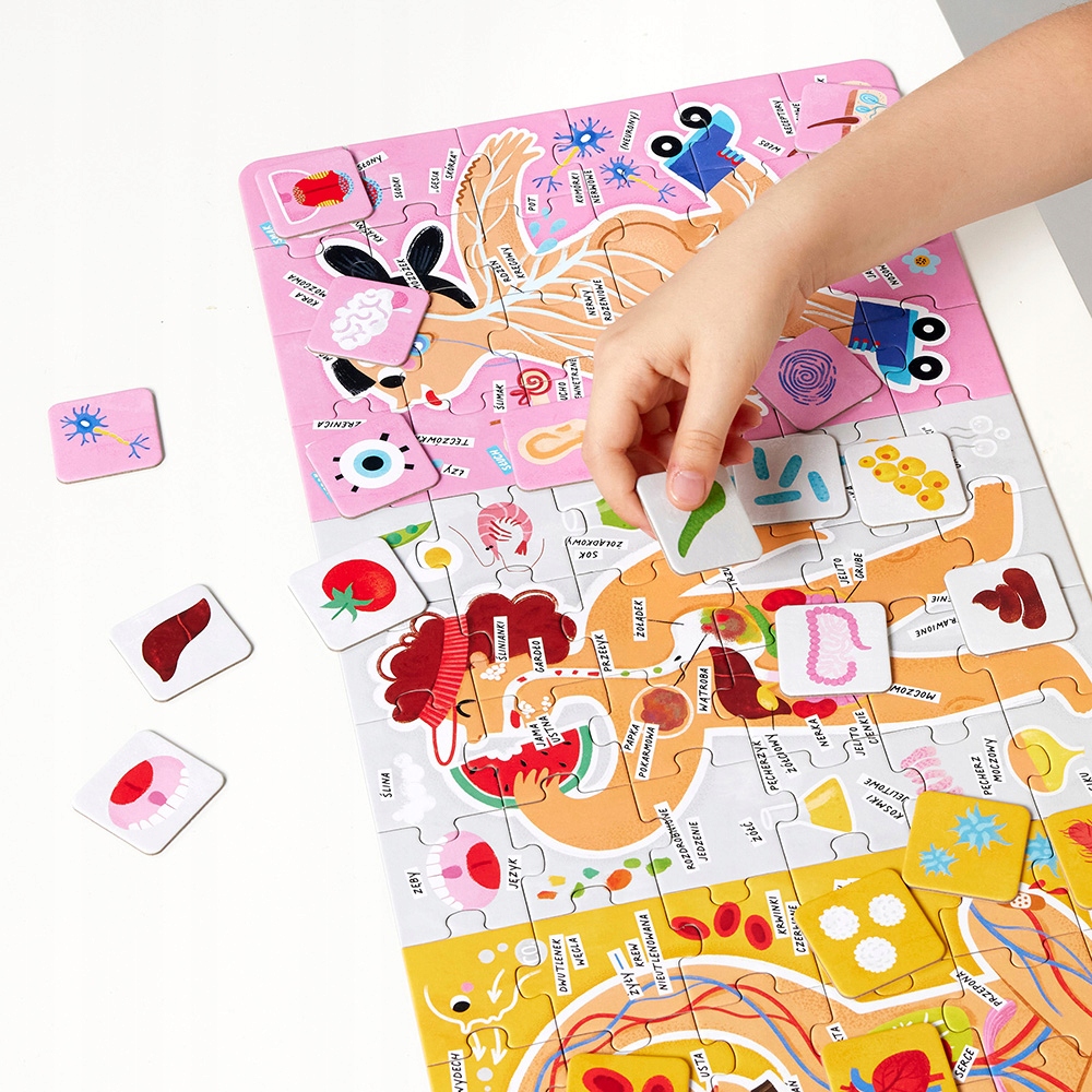 Puzzle Tak działa moje Ciało (747480)