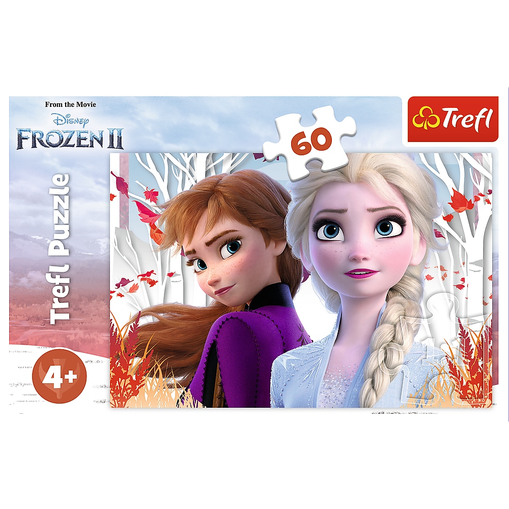 Puzzle 60 Zaczarowany świat Anny i Elsy