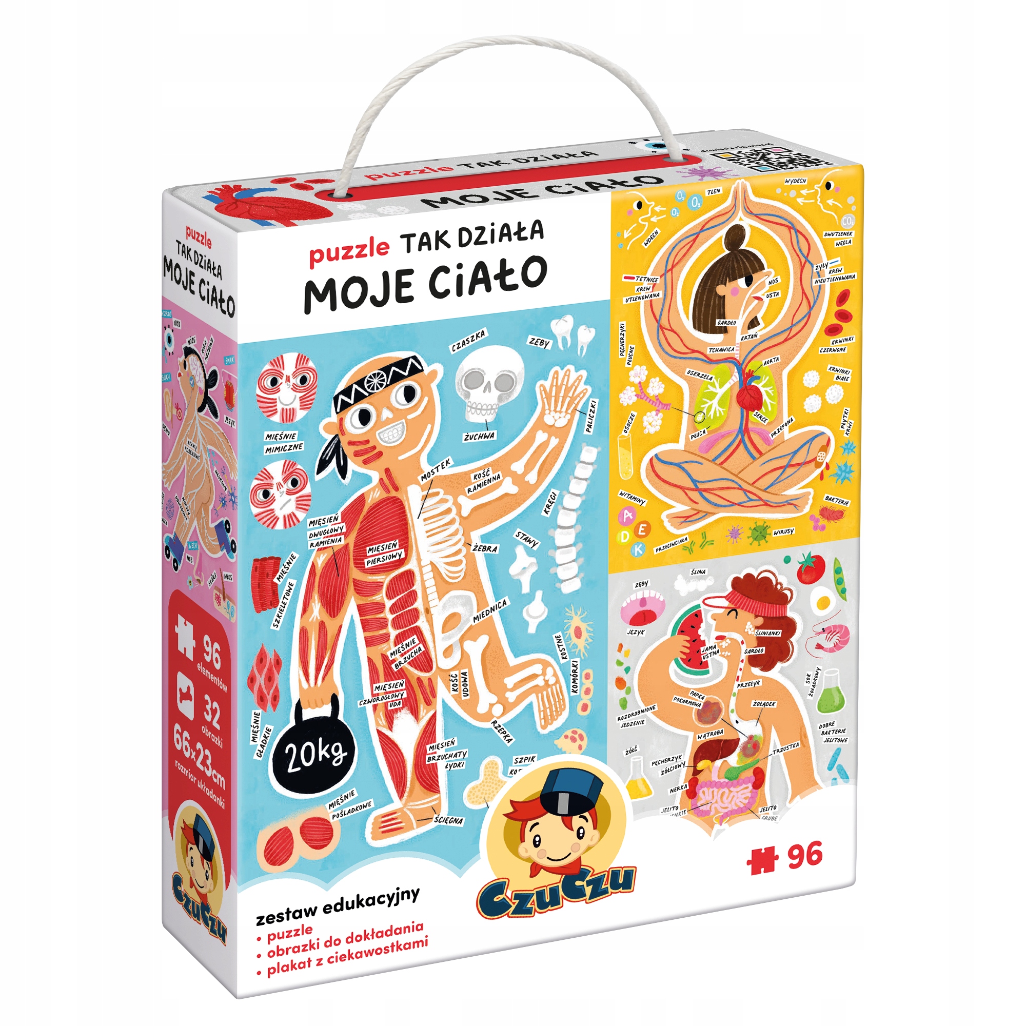 Puzzle Tak działa moje Ciało (747480)