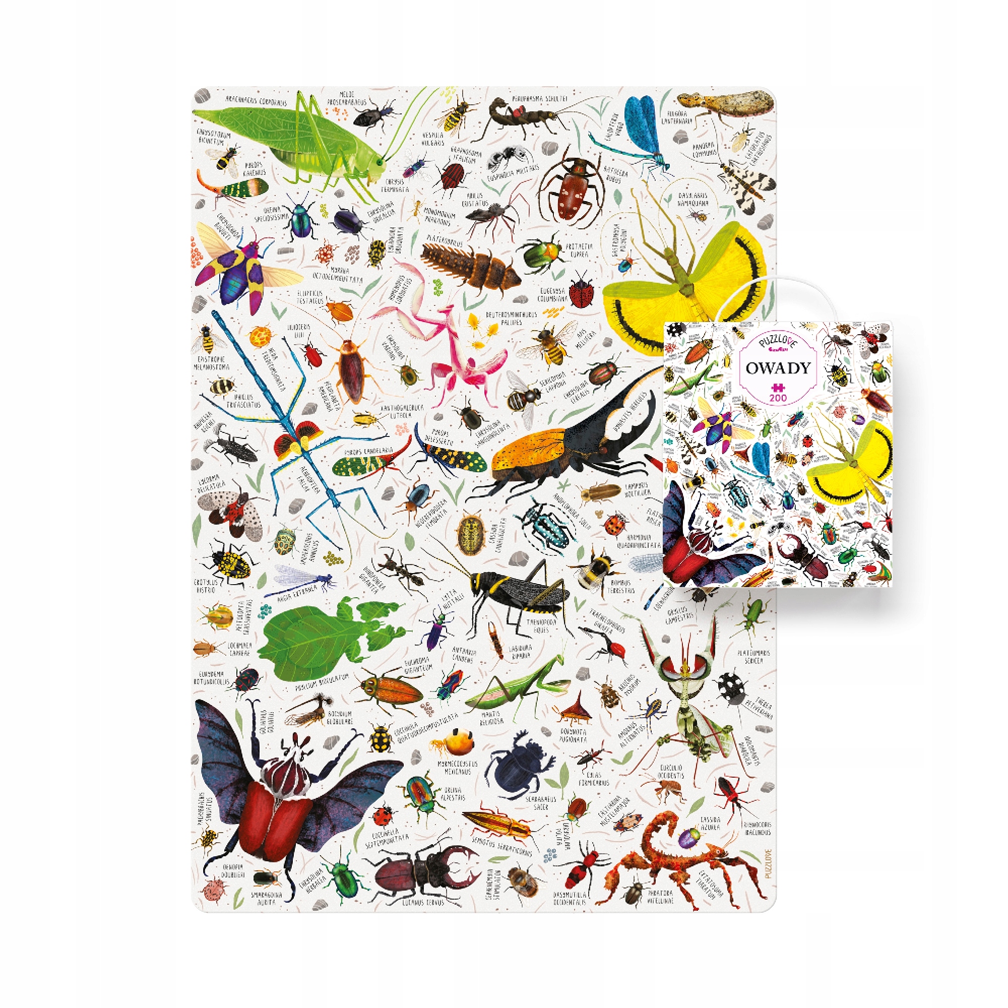Puzzle 200: Owady (7926176)