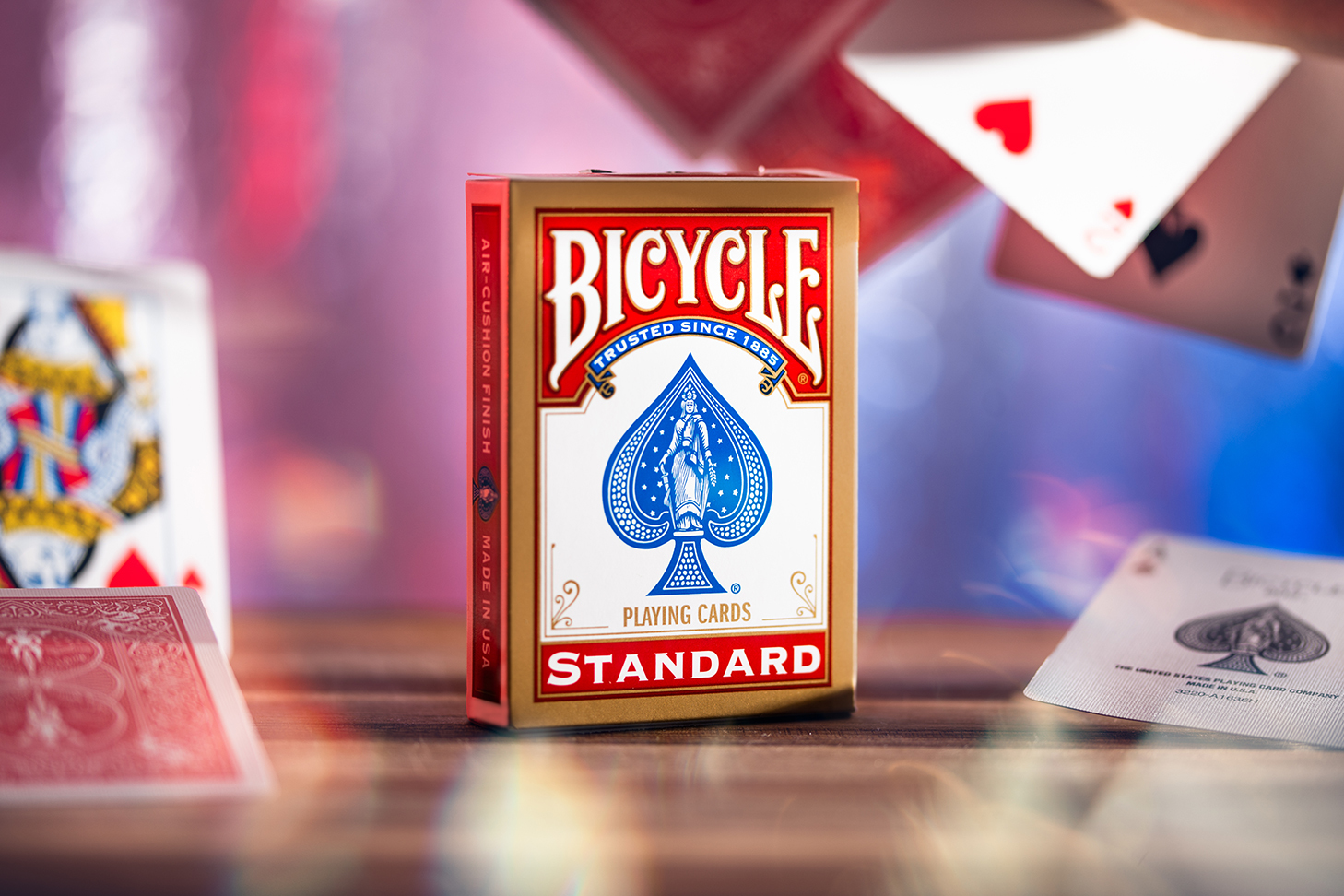 Bicycle: Rider Back Standard (6510)