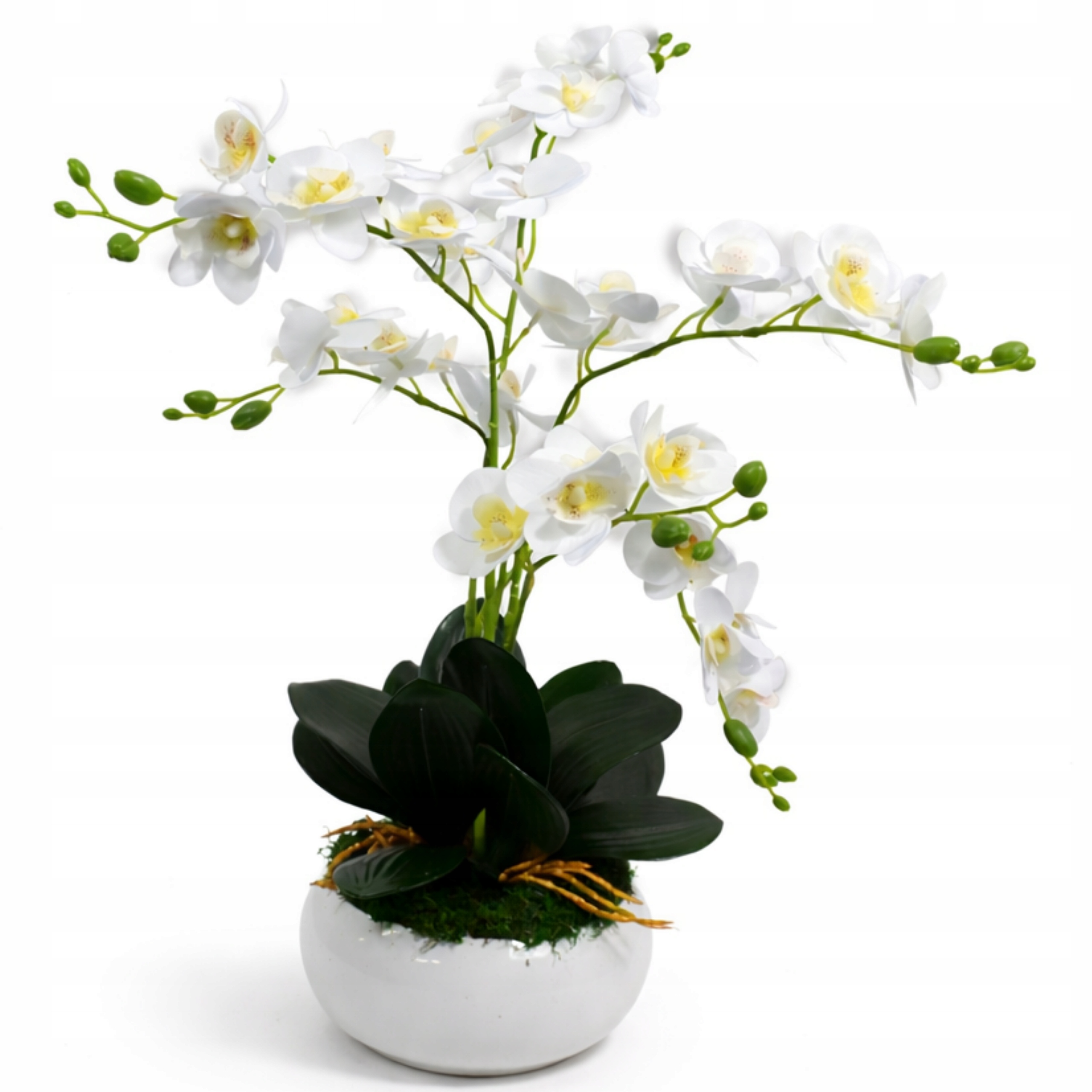 Storczyk Sztuczny Drobny Biały w Białej Ceramicznej Owalnej Doniczce 55 cm 027