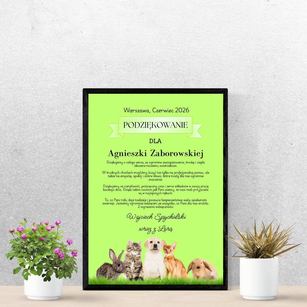 Podziękowanie dla Weterynarza Prezent dla Weterynarza plakat A3 4 4c4ab9ccaeec3050fd8dbbd2b7a36c81