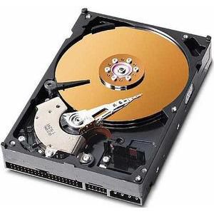 CoreParts 40GB 3,5 IDE 7200rpm, MUXMS-00077