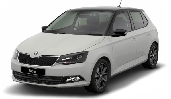 Pokrowce MIAROWE do Skoda Fabia III opar2/1 14-21r. P4