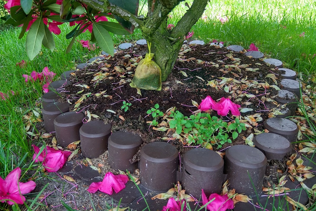 Odstraszacz Kunagone na koty dwupak skuteczny