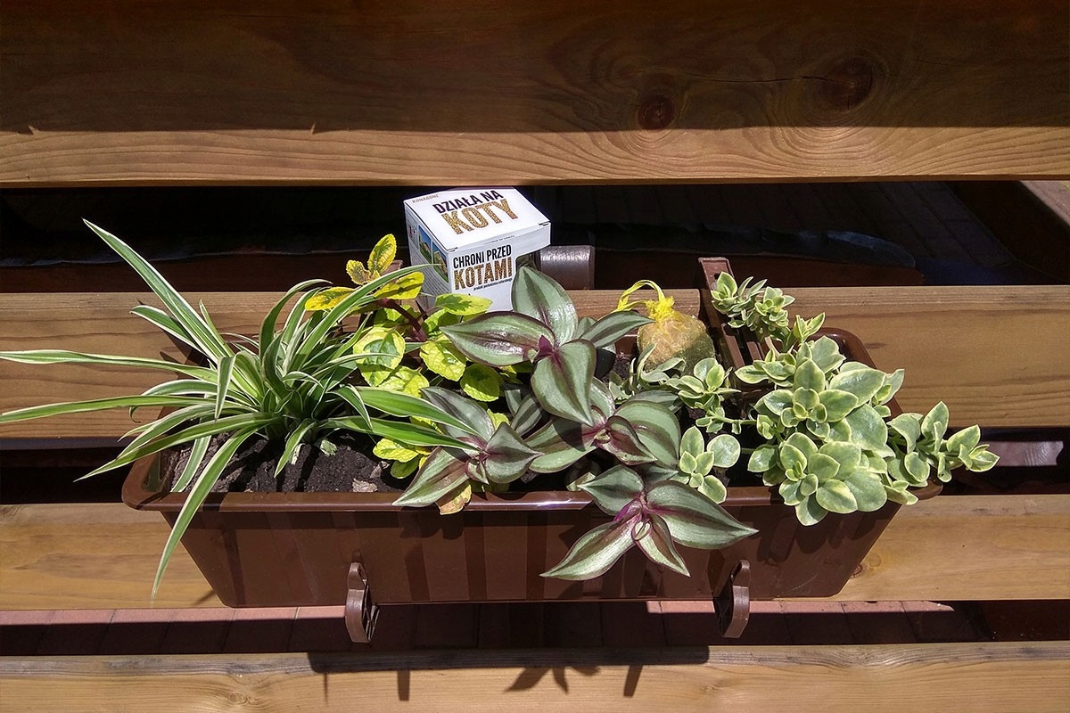 Odstraszacz Kunagone na koty dwupak skuteczny