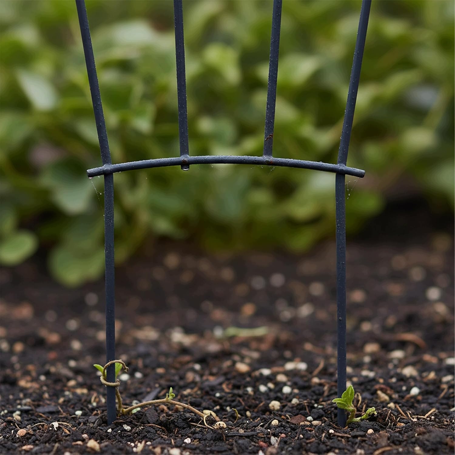 8668bde89d7f4f0af9cae063c7a1f54f.jpg