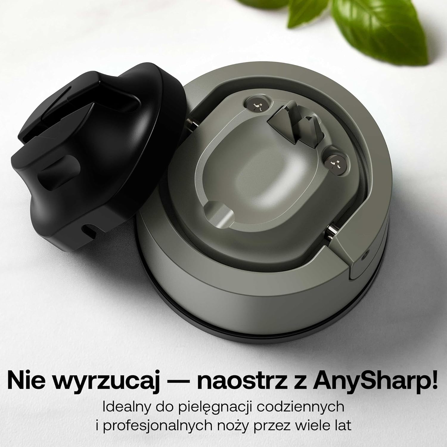d8a604d9580332bb5cb60ad31898f809.jpg
