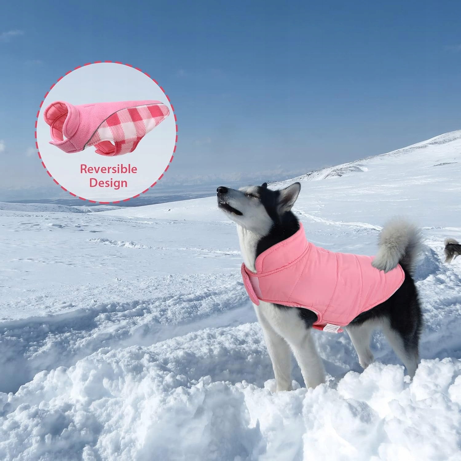 fcc43d3ef4257dc712af95ad47395828.jpg