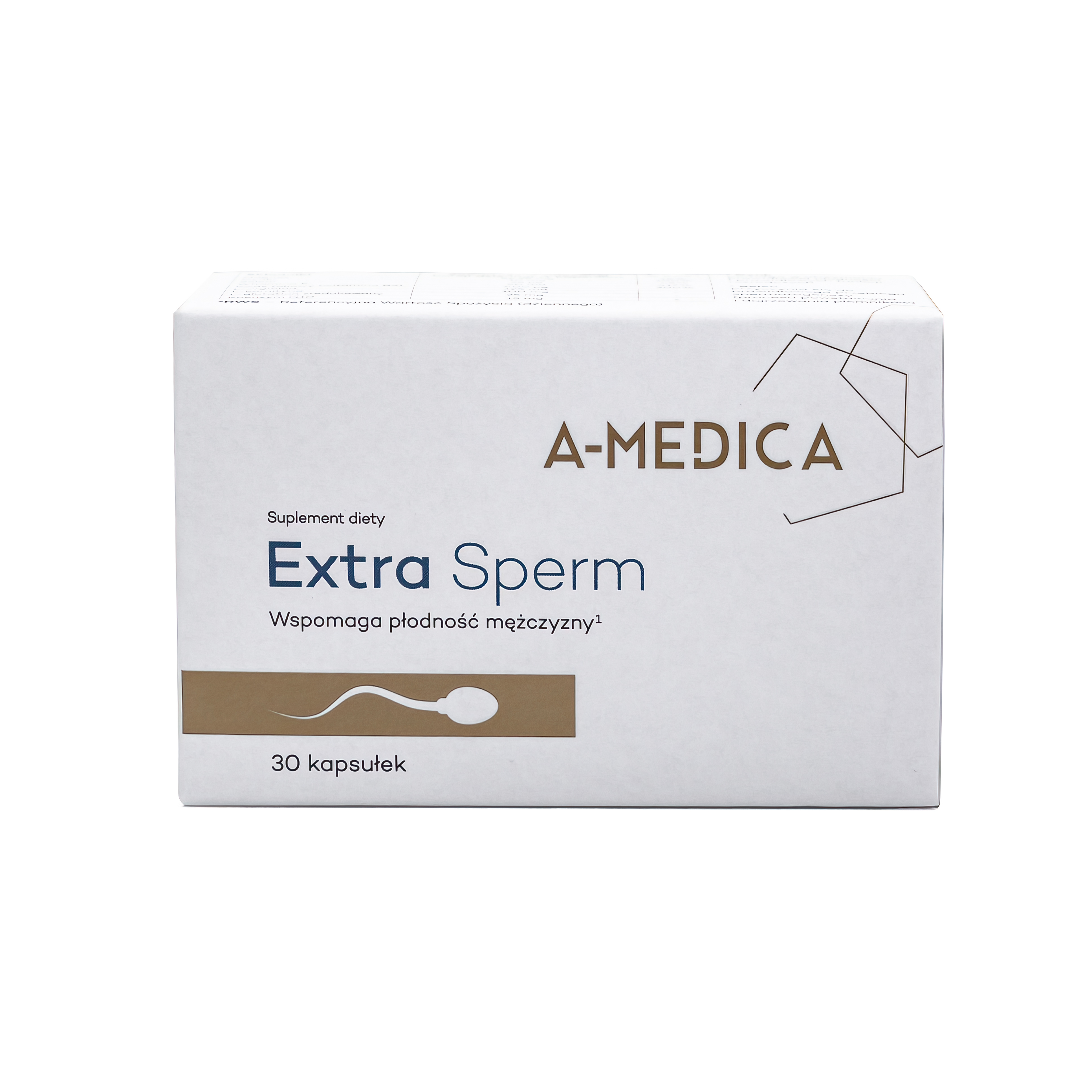 l carnitin sperma Effects of L-Carnitine on the sperm parameters disorders apoptosis of spermatogenic cells and testis histopathology in diabetic Rats L-Carnitine and Male Fertility: Is