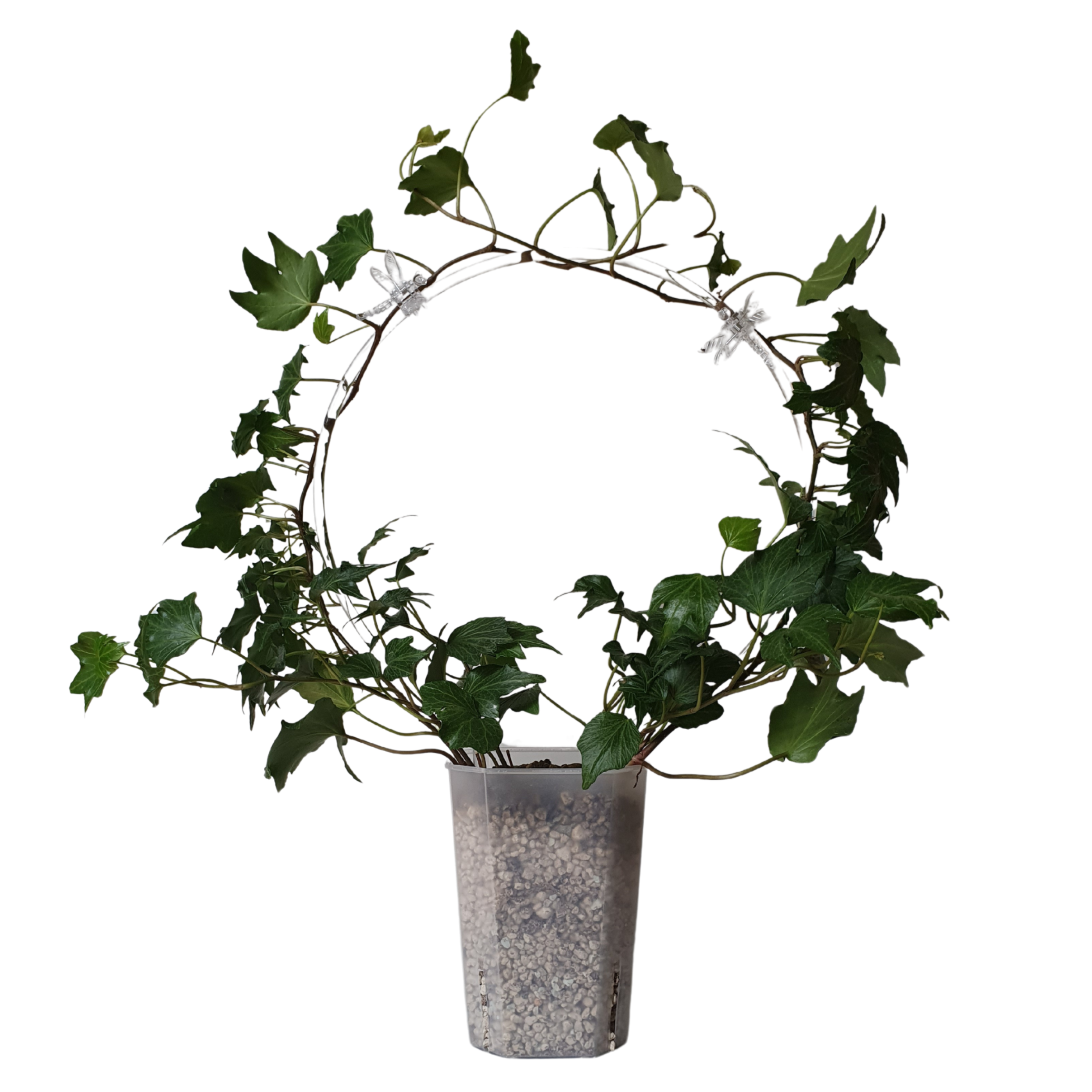 2ef57c102b6e803914ec830b3f59feb0.png