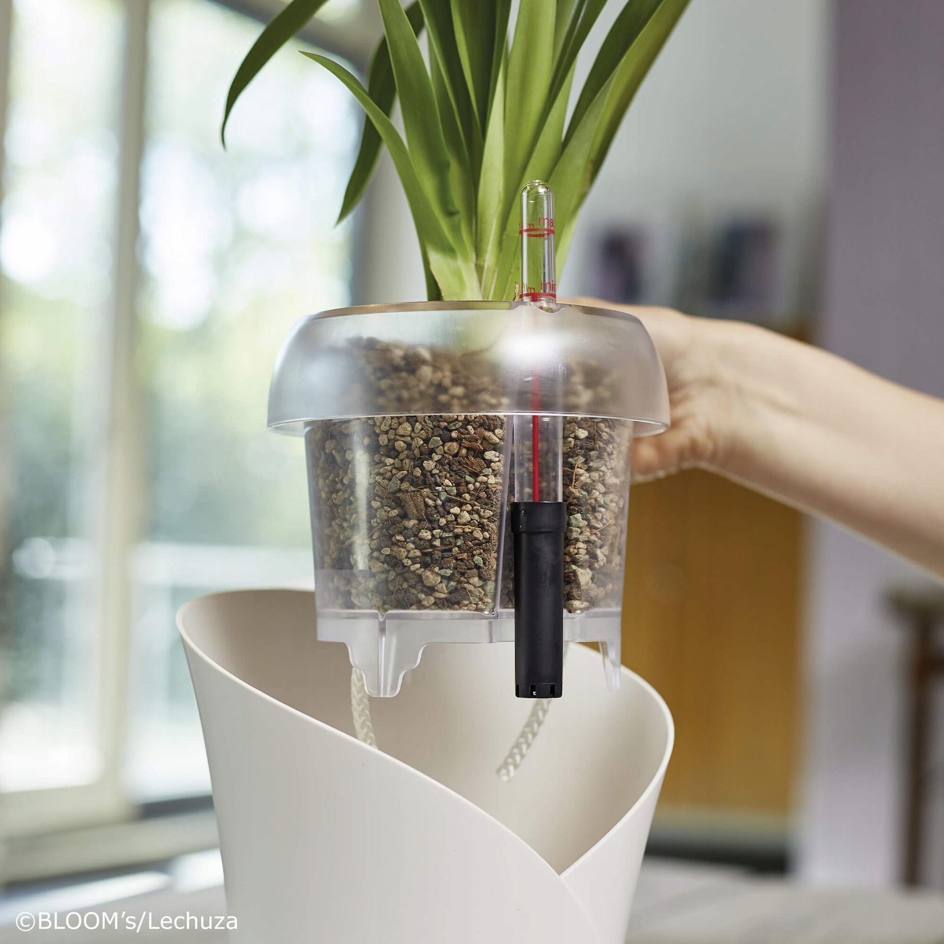 64ebc937ac8522a1d12690d3573a6c69.jpg