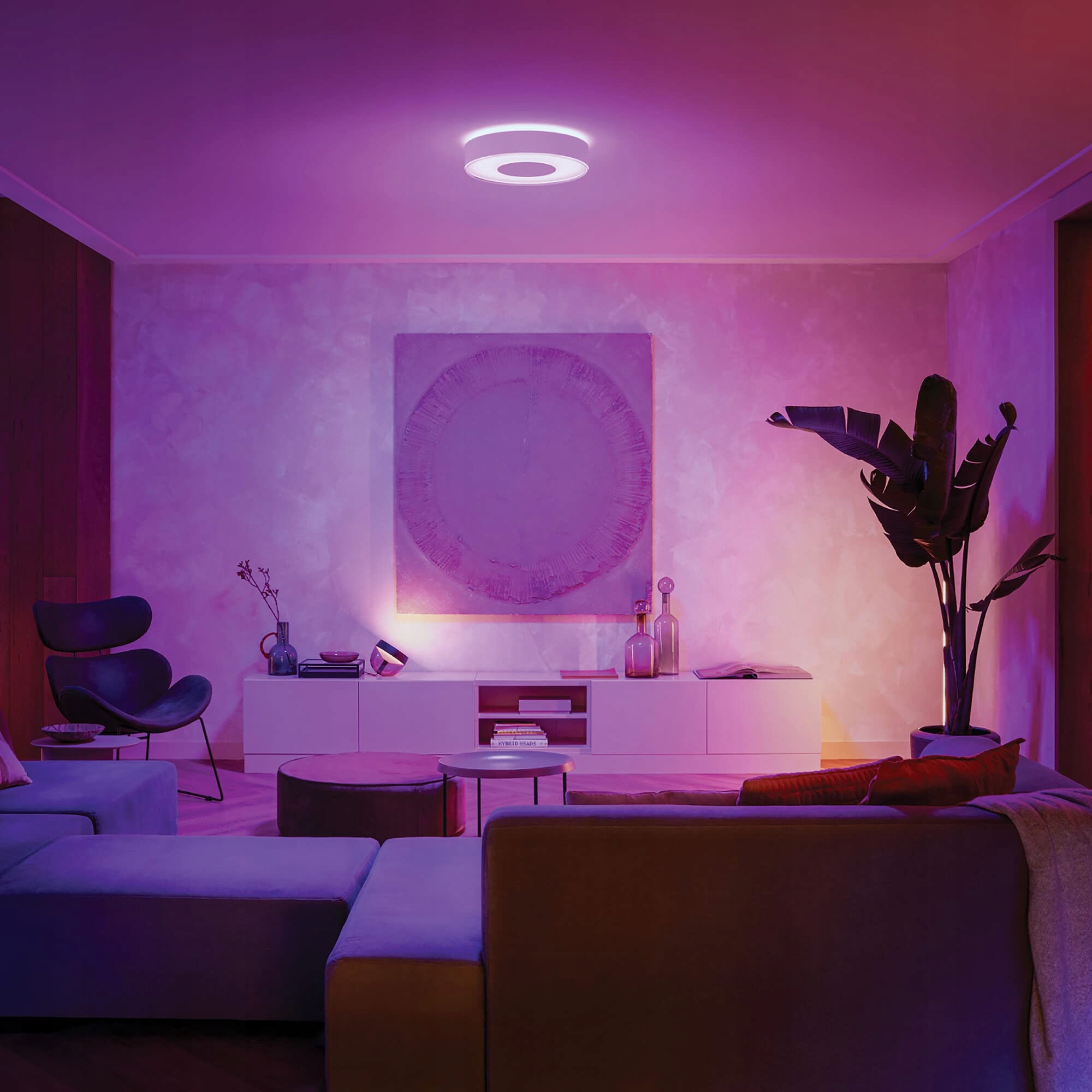 Imagine necunoscută