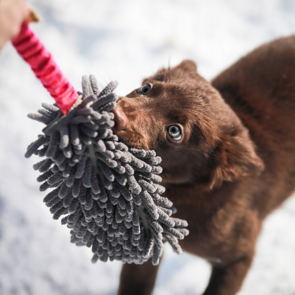 szarpak mop Bungee Dingo czerwony detale frędzle rączka amortyzowana 40cm