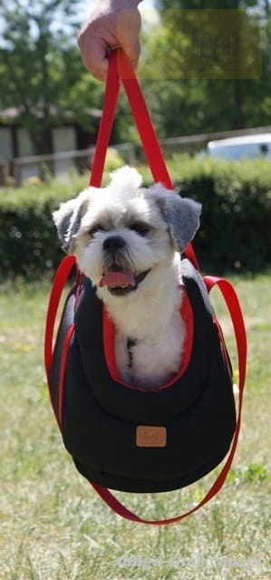 torba Dingo Oxford czarno-czerwona detale karabińczyk zamek uchwyty wyjmowana poduszka wymiary S M L