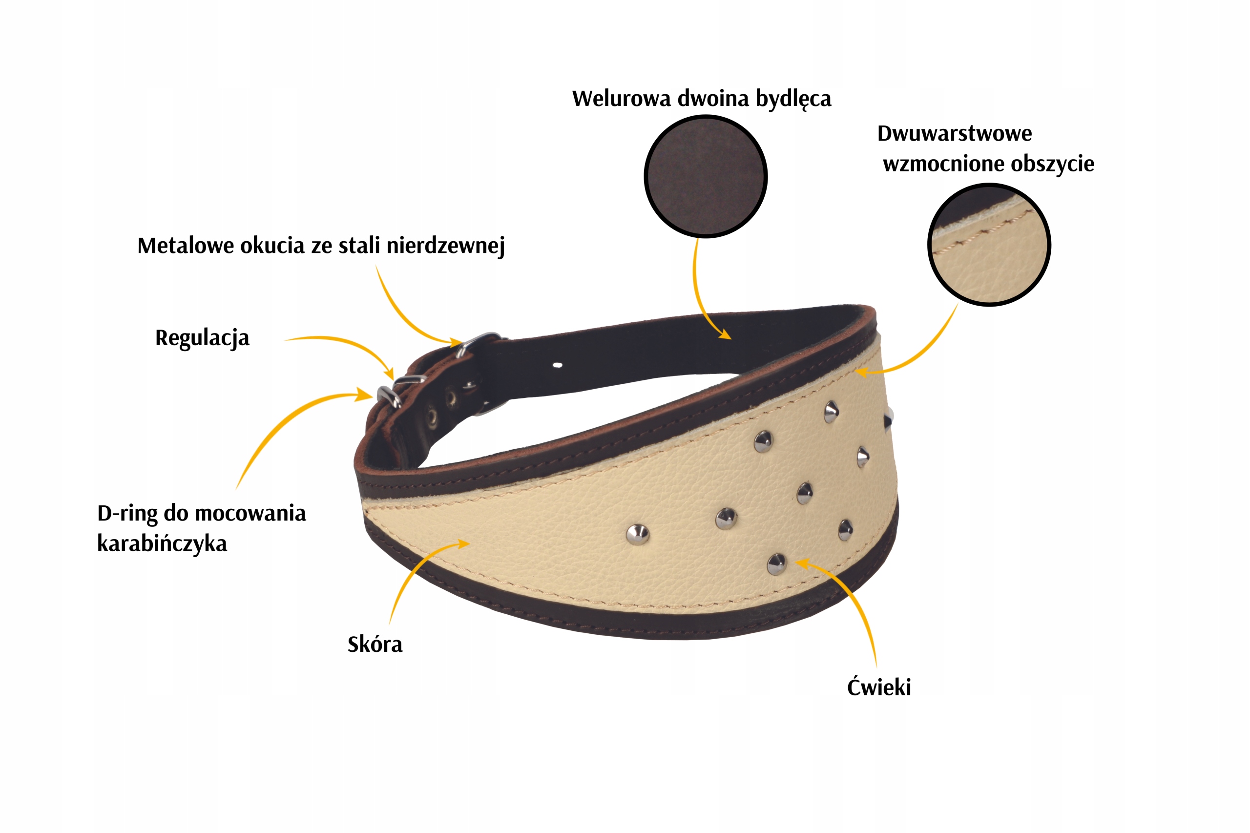 obroża Dingo Soft ozdobna detail ćwieki dwukolorowa skóra klamra chromowana