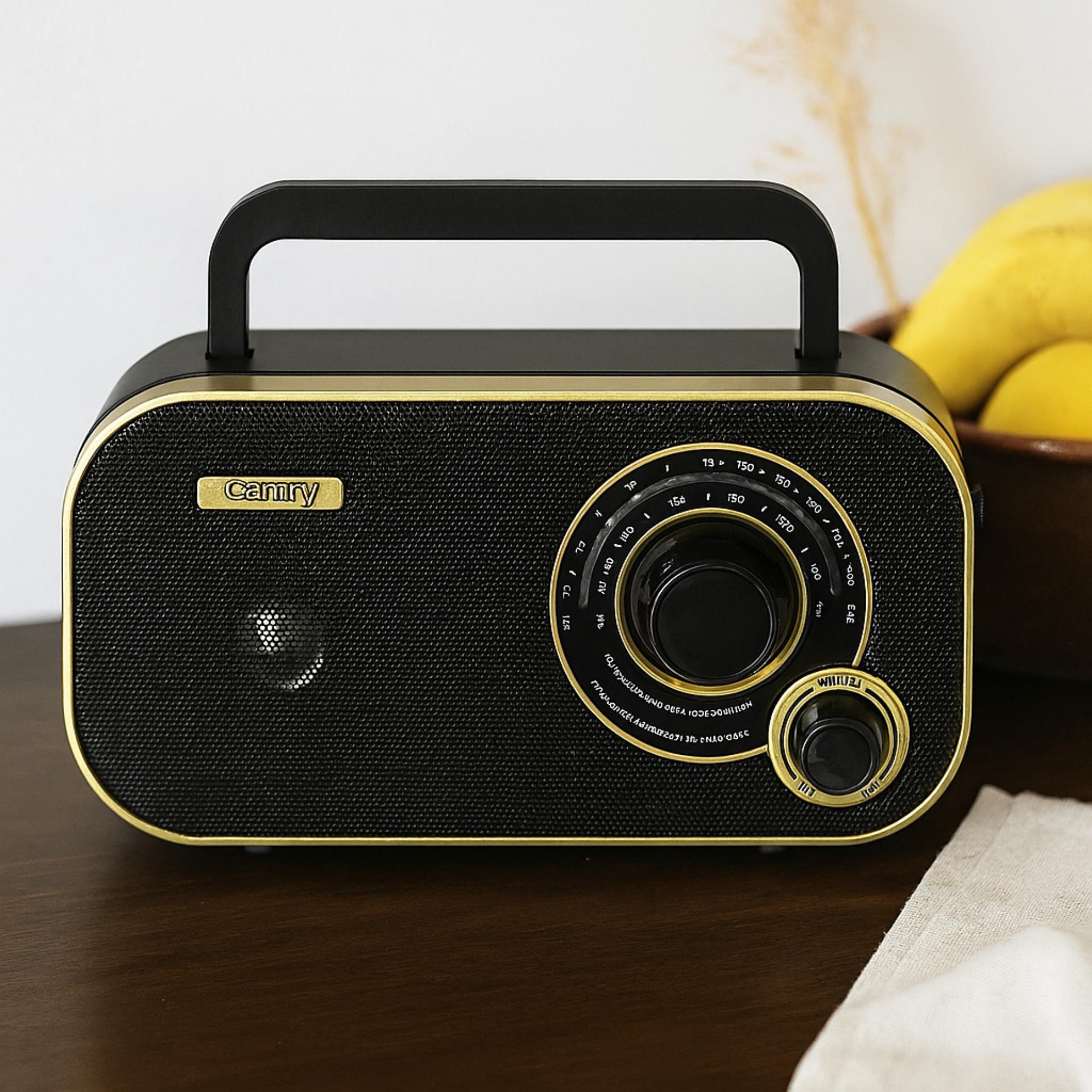 Radio FM/AM Camry CR 1910g - widok ogólny