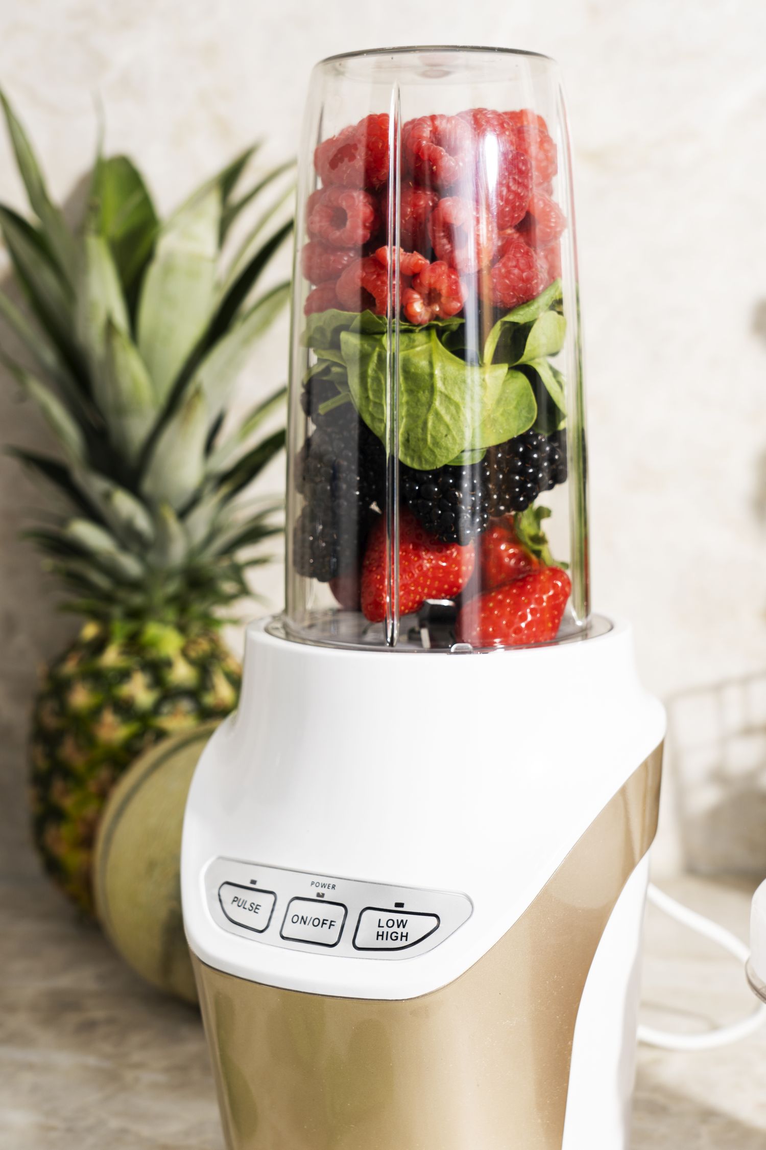 Blender personalny POWERFUL NUTRI Camry - zastosowania