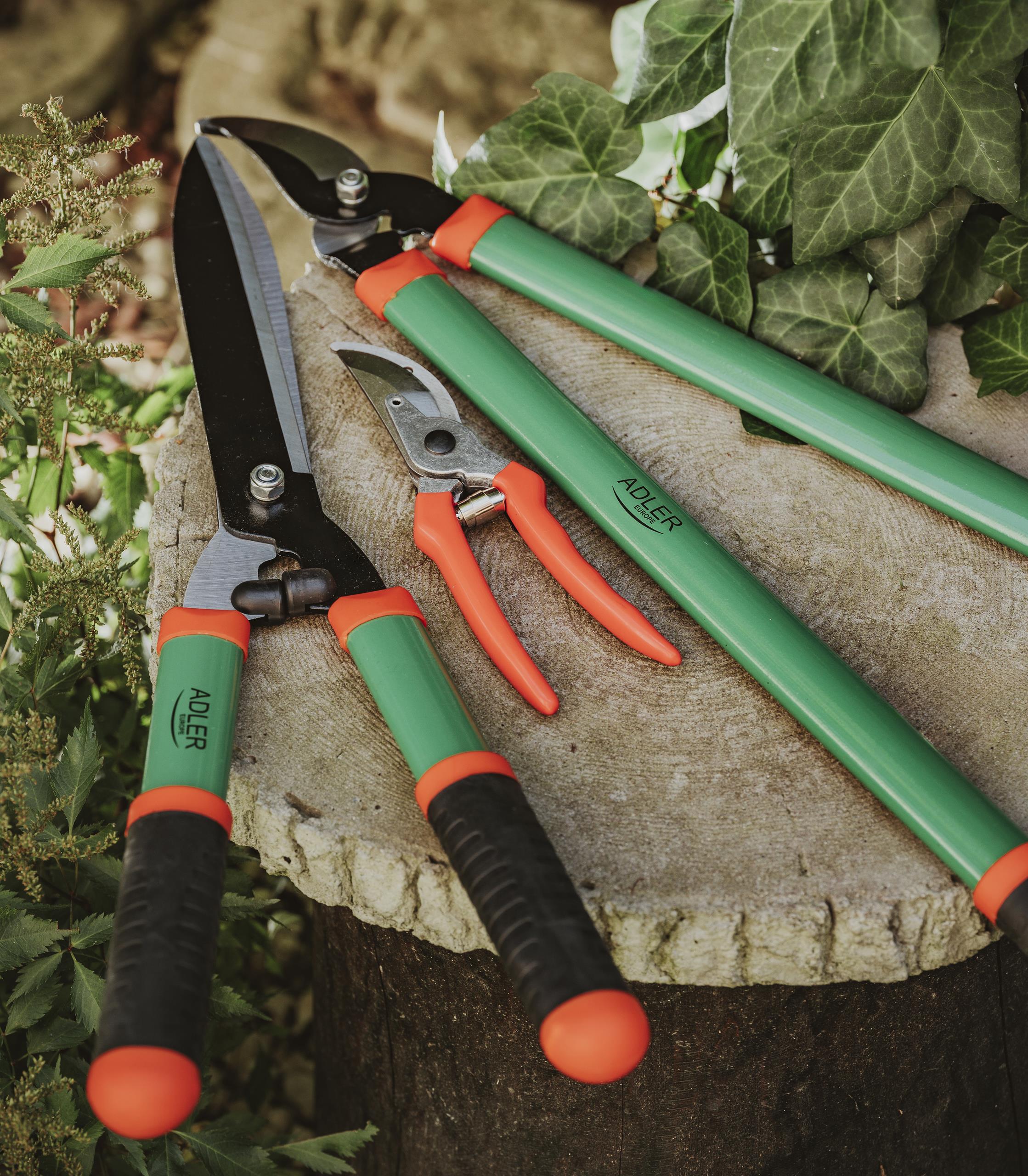 Trzy narzędzia tnące: sekator ręczny, nożyce do żywopłotu, nożyce do gałęzi.