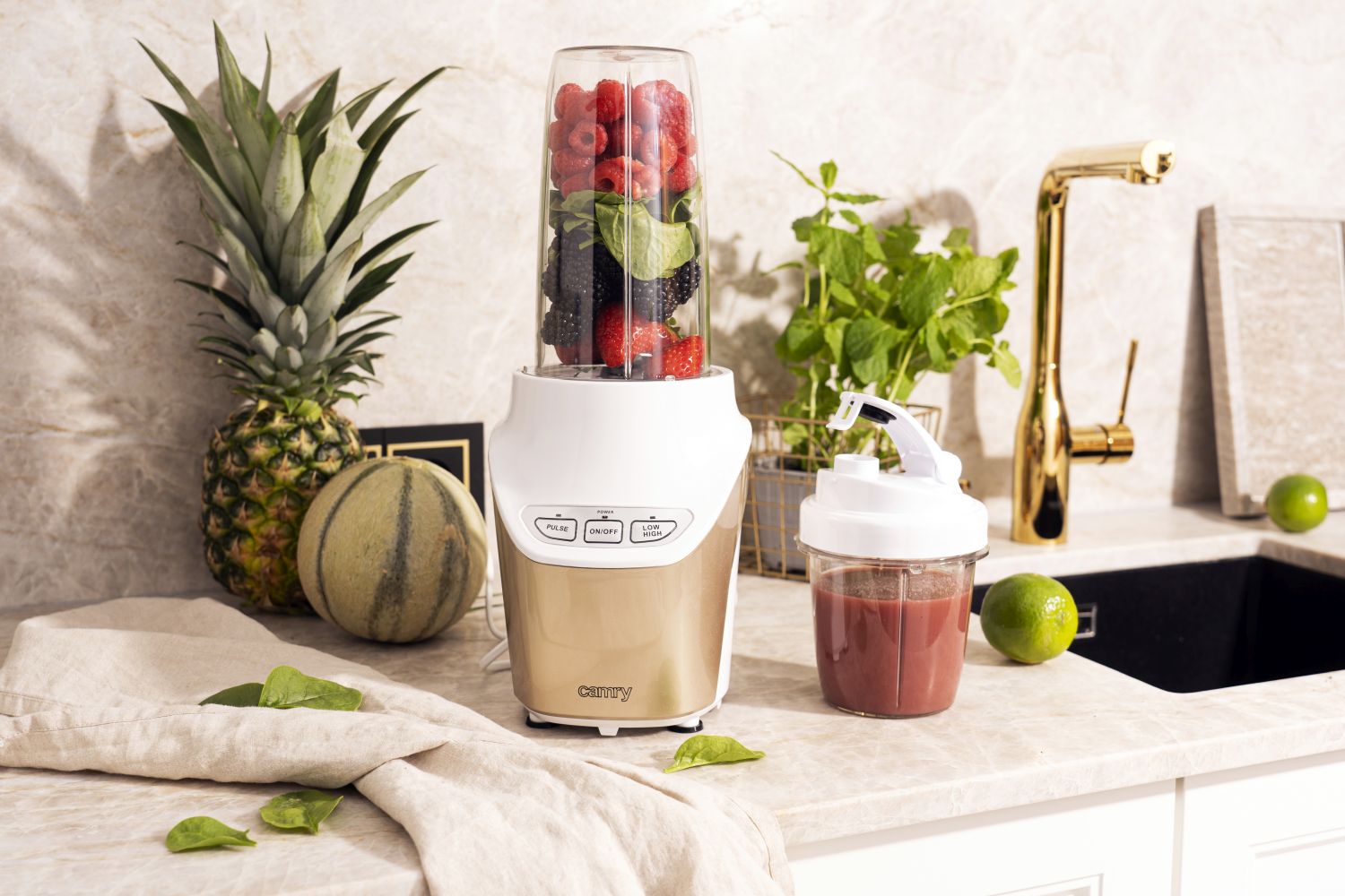 Blender personalny POWERFUL NUTRI Camry - widok ogólny