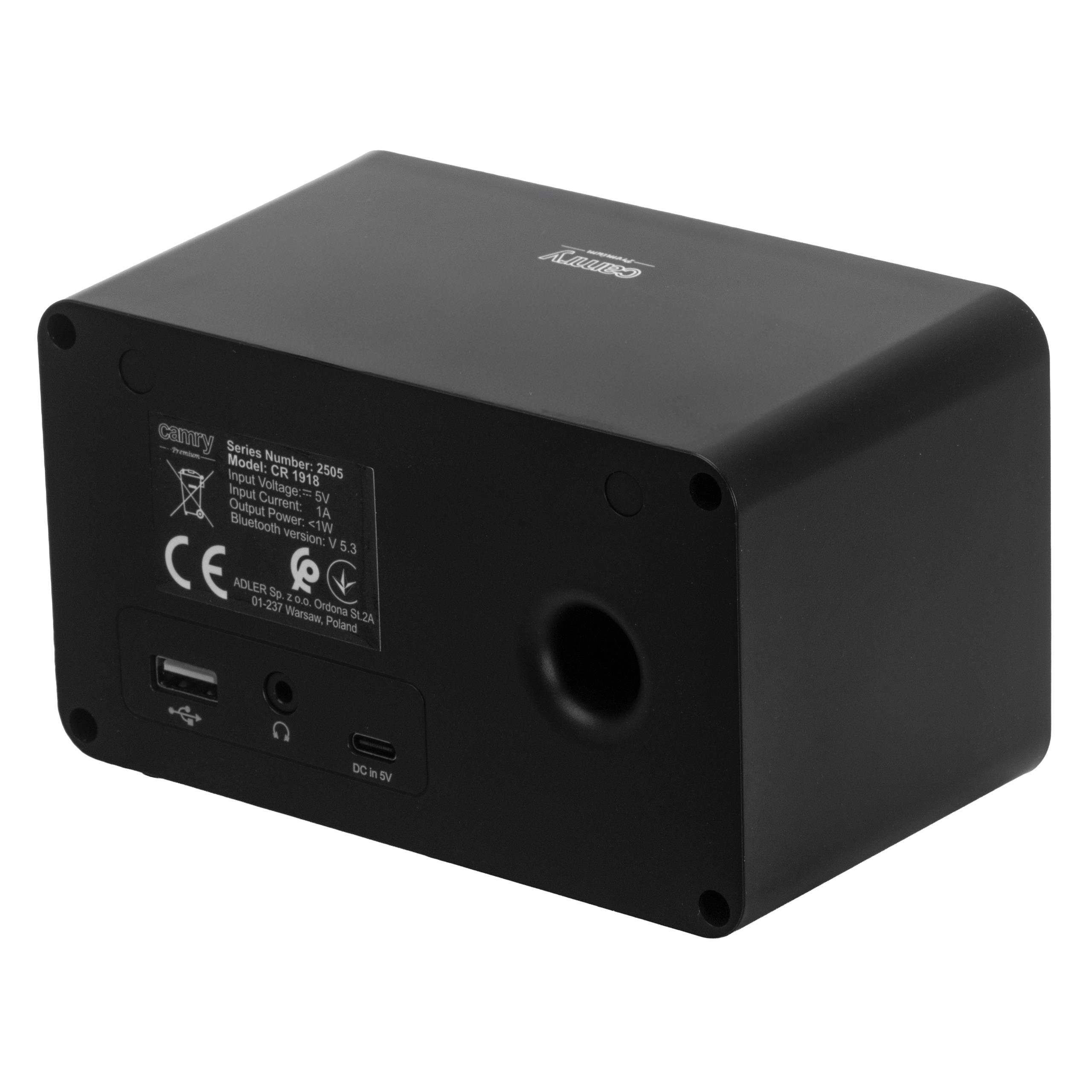 Pendrive włożony do portu USB radia internetowego Camry CR 1918, wskazujący funkcję odtwarzania multimediów