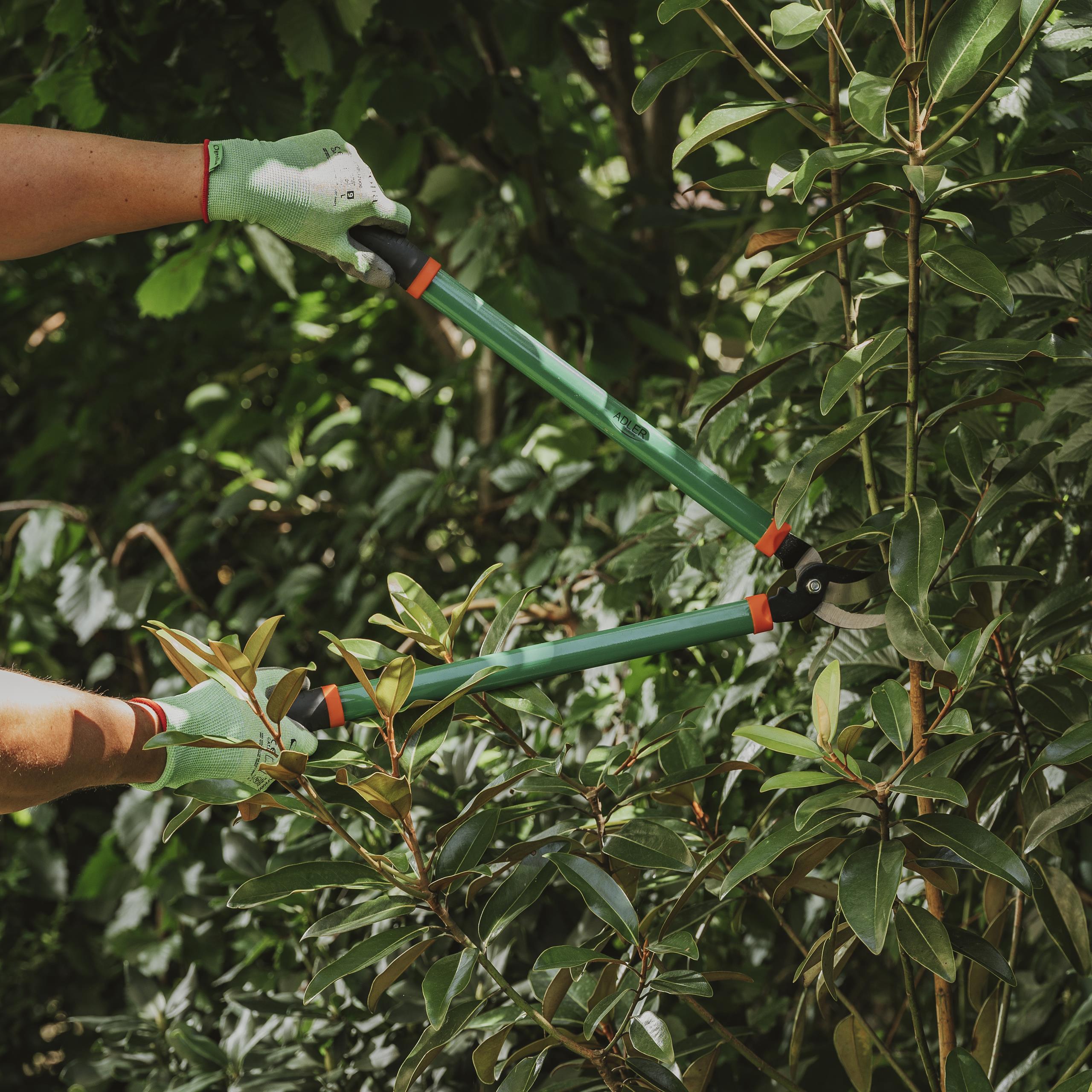 Green and black branch loppers with extended handles, shown cutting a thick tree branch, highlighting the leverage mechanism.