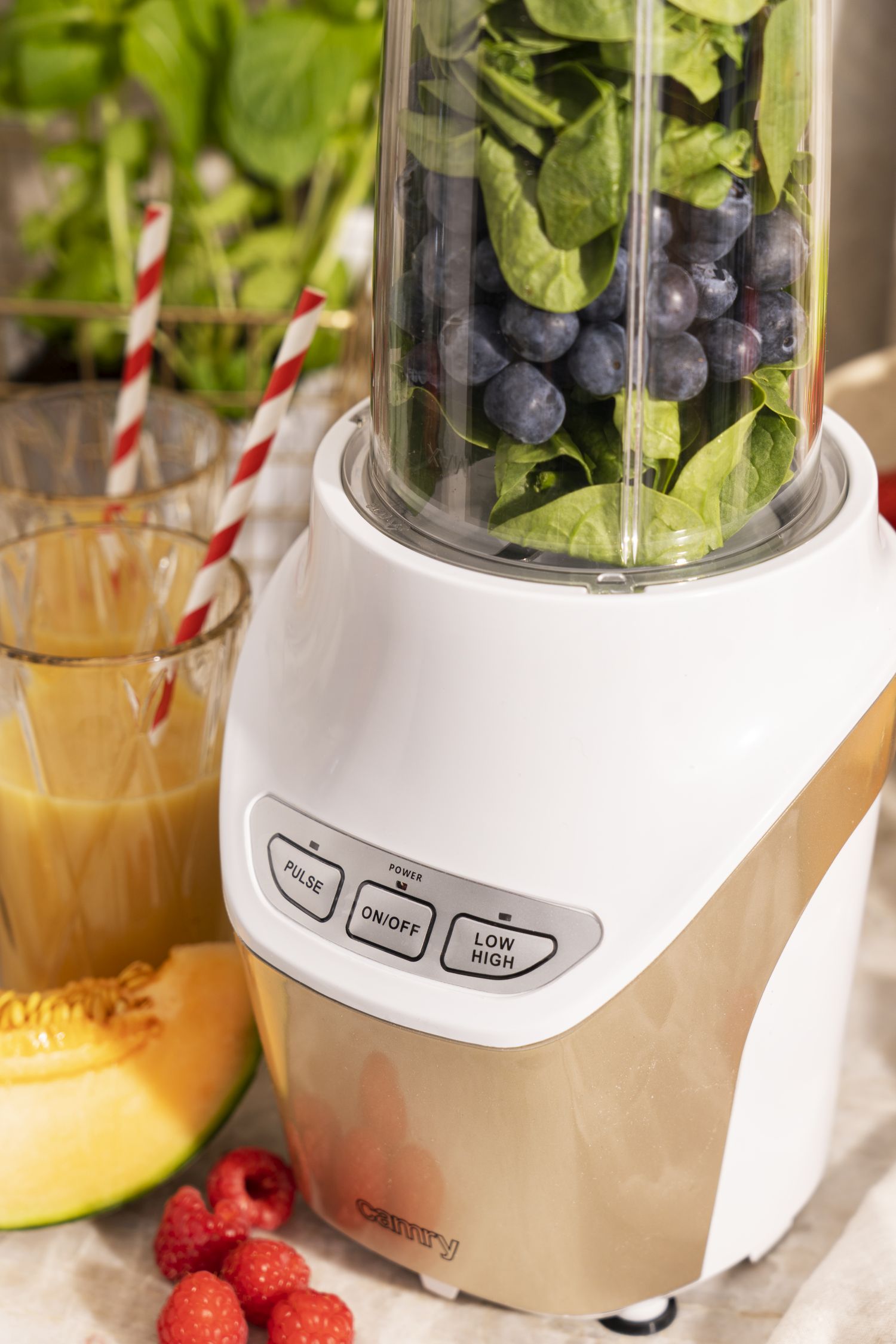 Blender personalny POWERFUL NUTRI Camry - bidony i ostrza