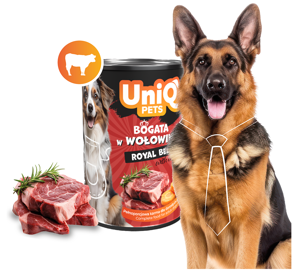 Zdjecie produktu UDW0003