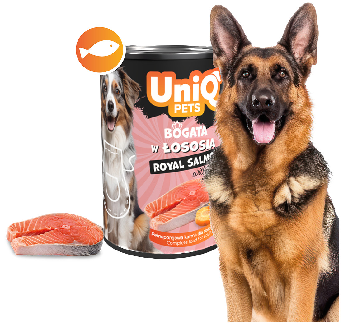 Zdjecie produktu UDW0005