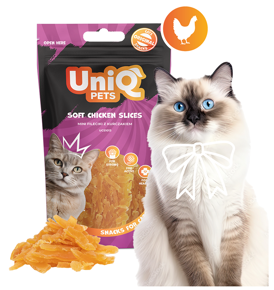 Zdjecie produktu UCS1013