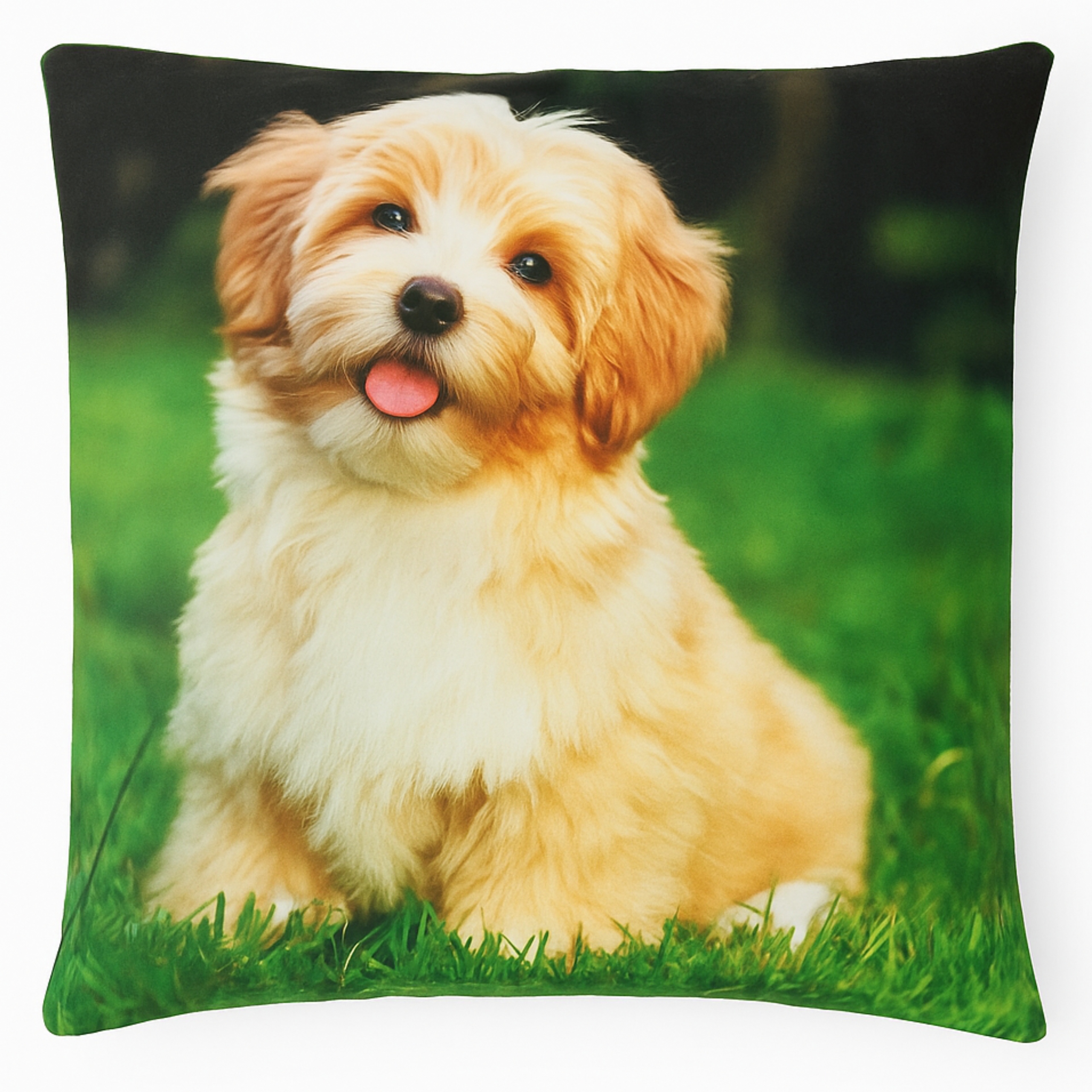 Poszewka Dekoracyjna 45x45 Zwierzęta Koty Psy - Miękka, Welurowa WZORY