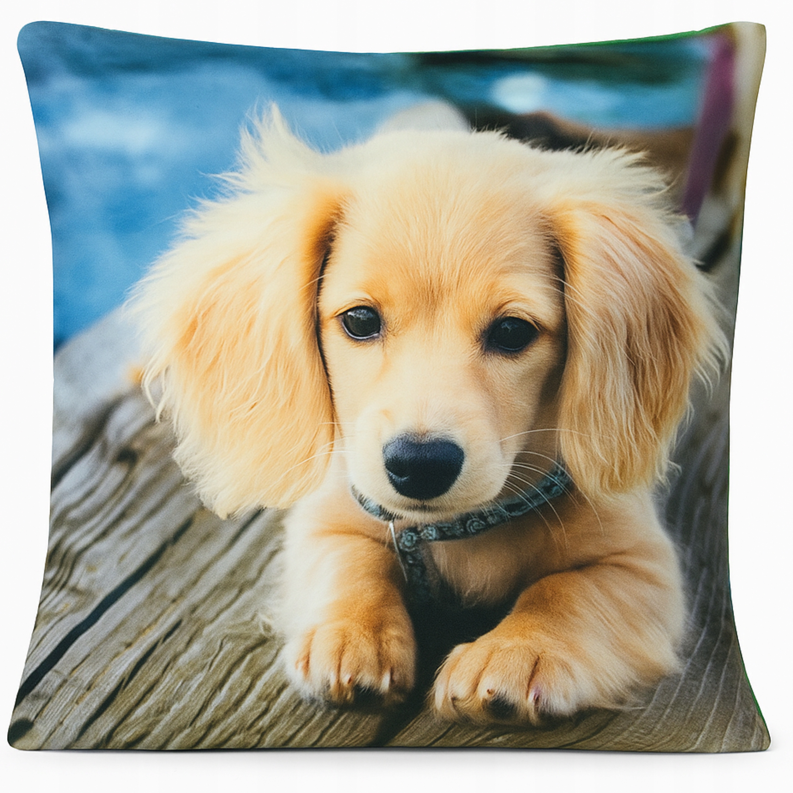 Poszewka Dekoracyjna 45x45 Zwierzęta Koty Psy - Miękka, Welurowa WZORY