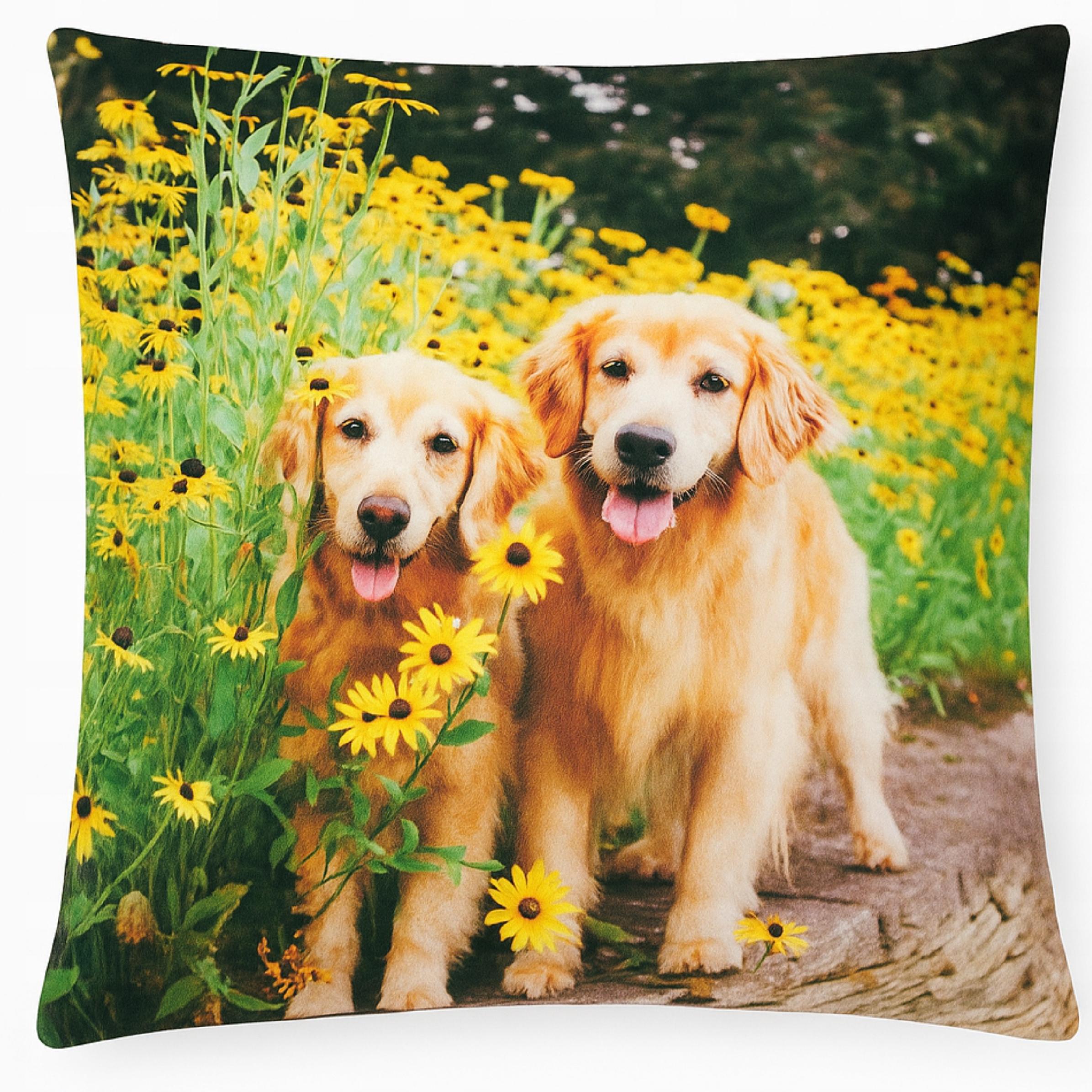 Poszewka Dekoracyjna 45x45 Zwierzęta Koty Psy - Miękka, Welurowa WZORY