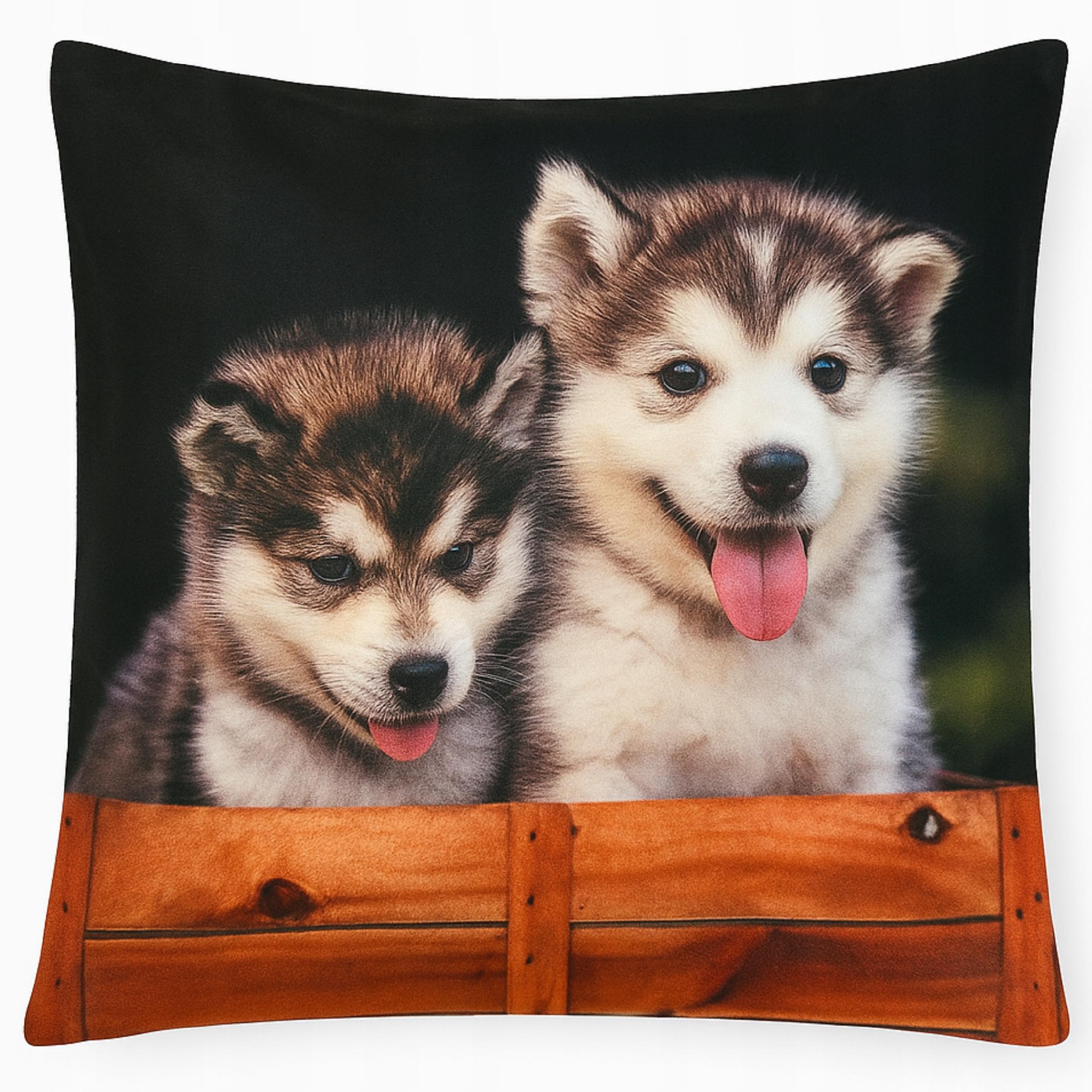 Poszewka Dekoracyjna 45x45 Zwierzęta Koty Psy - Miękka, Welurowa WZORY