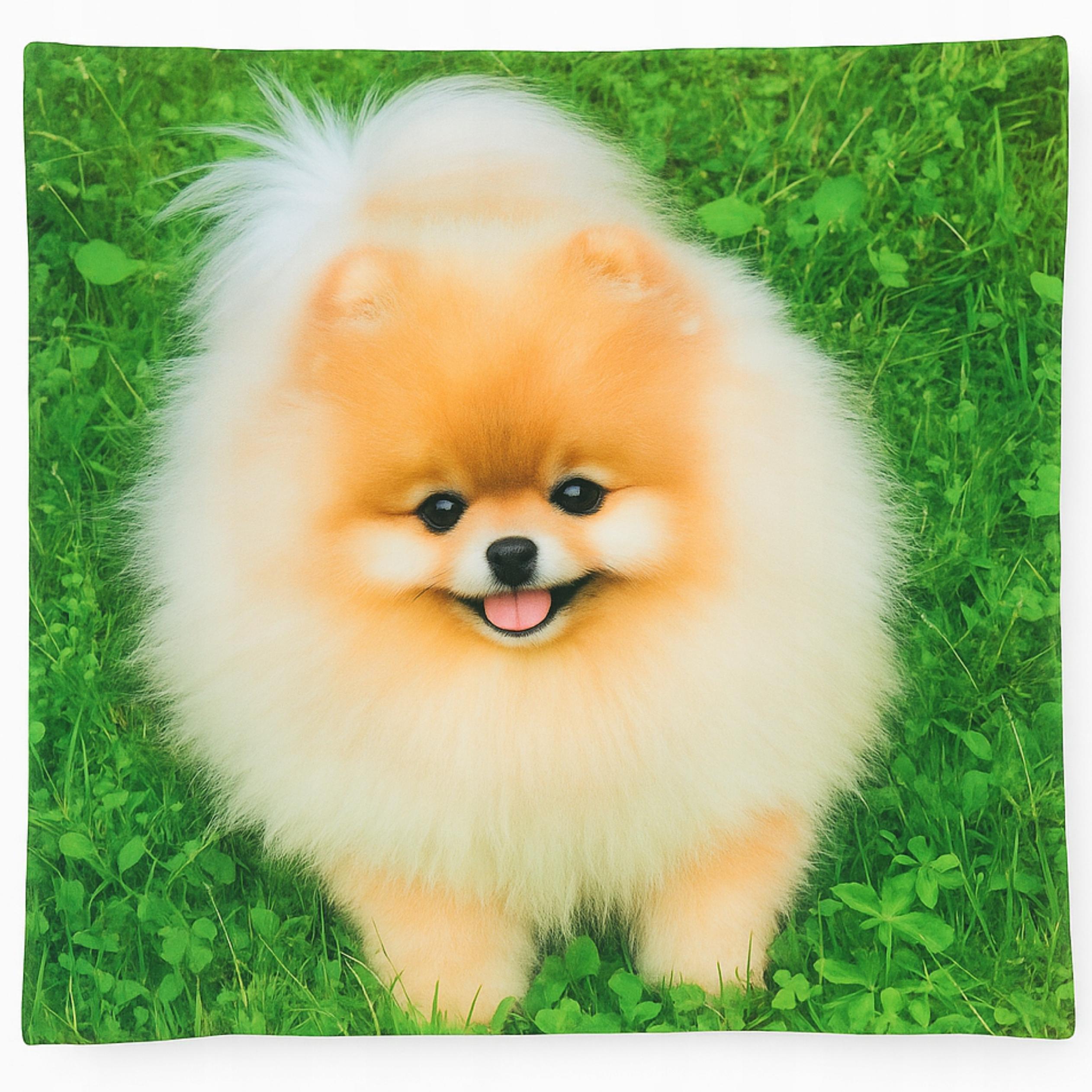 Poszewka Dekoracyjna 45x45 Zwierzęta Koty Psy - Miękka, Welurowa WZORY