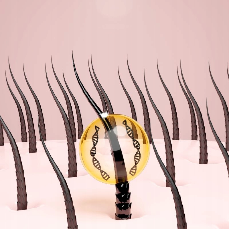 Grzebień na wszy i gnidy – ergonomiczna rączka