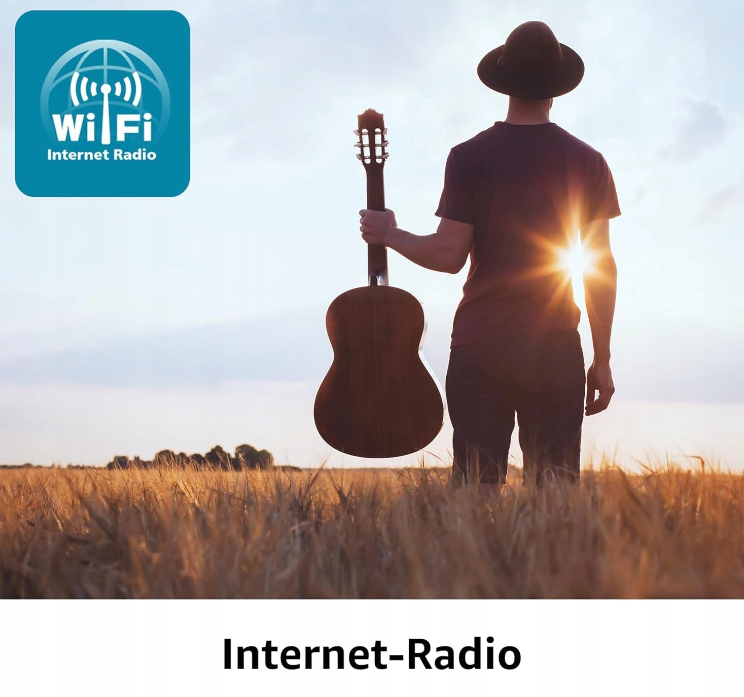 Radio sieciowe DAB+, FM, internetowe Kärcher DAB 9000CDI Czarny