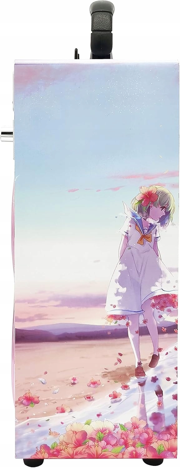 Głośnik przenośny Dynasonic E-025 Bluetooth USB AUX FM + 2x Mikrofon HIT !