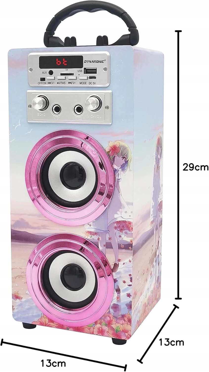 Głośnik przenośny Dynasonic E-025 Bluetooth USB AUX FM + 2x Mikrofon HIT !