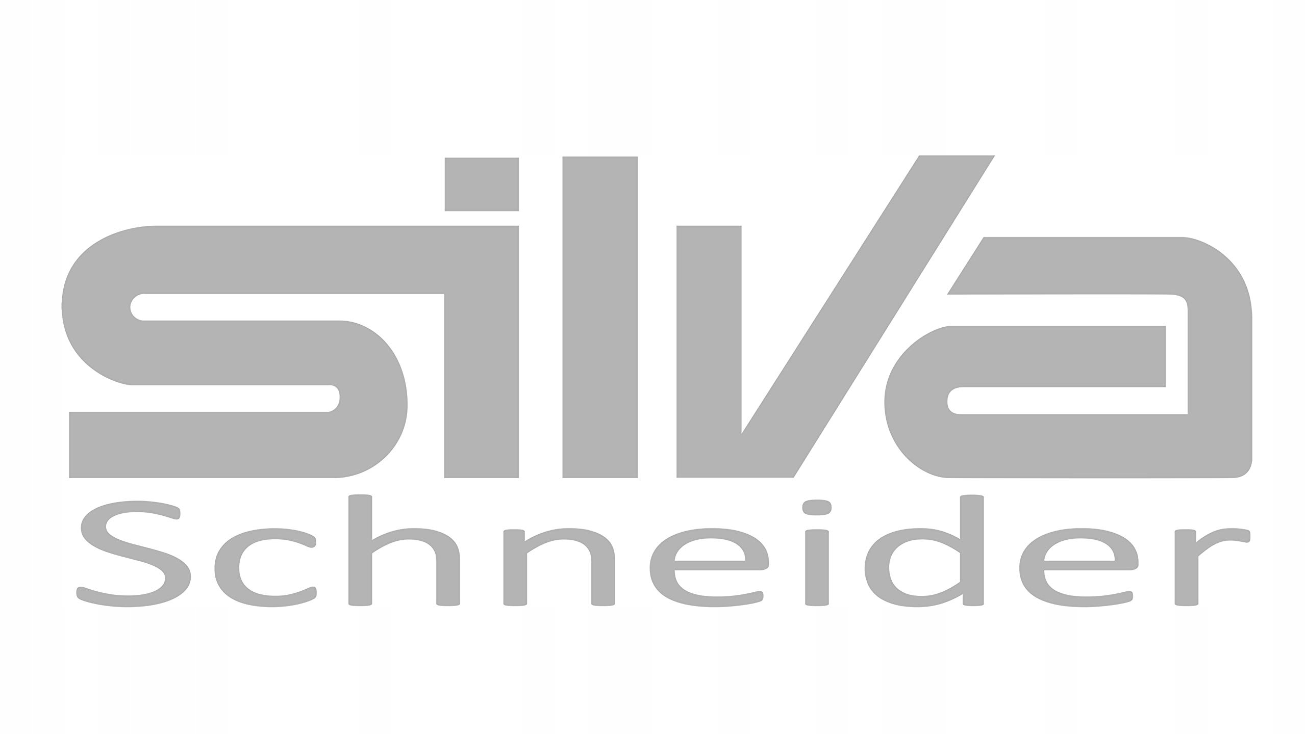 Radioodtwarzacz Silva Schneider PCD 19.1 210715 radio FM odtwarzacz CD, AUX