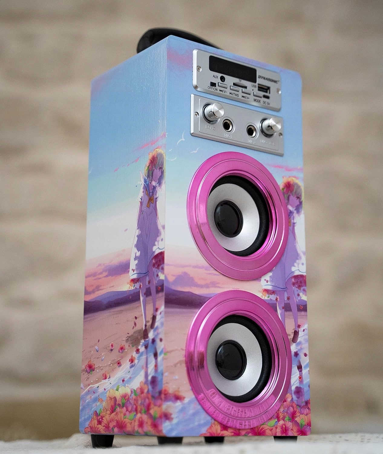 Głośnik przenośny Dynasonic E-025 Bluetooth USB AUX FM + 2x Mikrofon HIT !