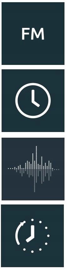 Radio FM DAB+ Internetowe Technisat 550 IR WiFi USB Bluetooth MP3 Czarny