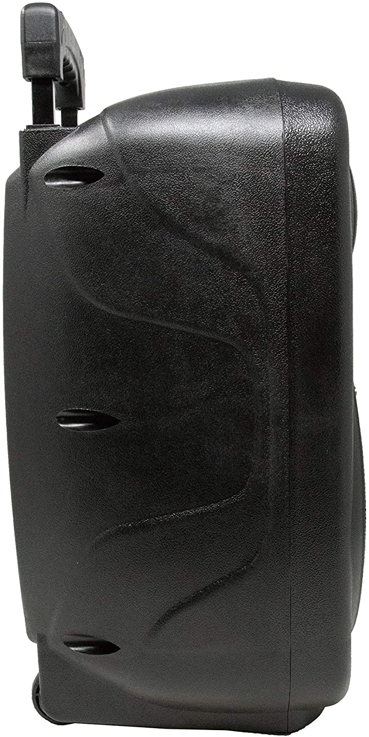 Głośnik przenośny Dynasonic Dynapro 8 czarny