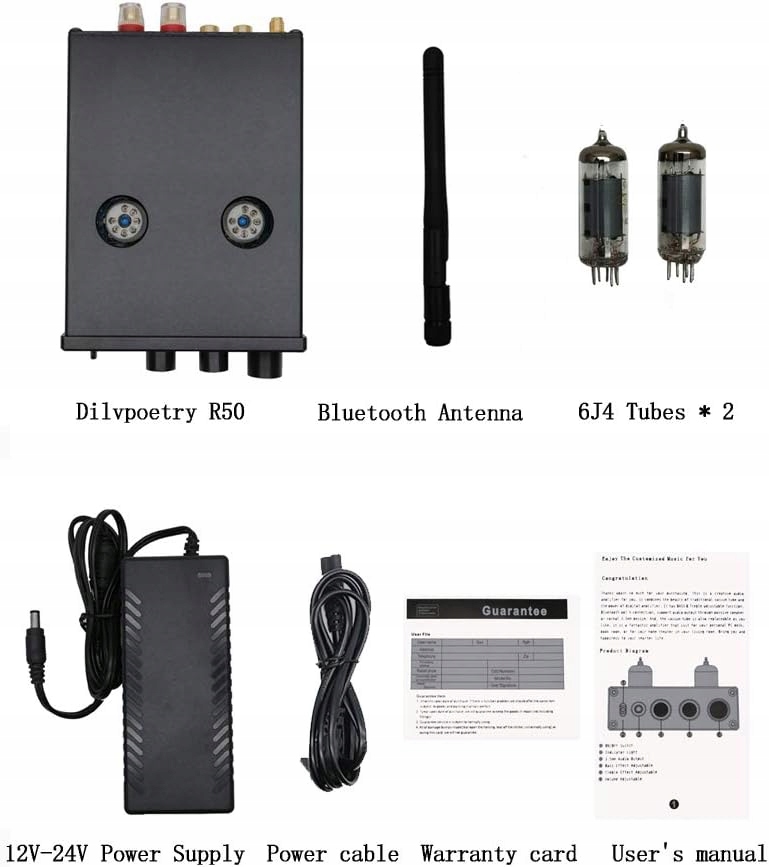 Lampowy wzmacniacz słuchawkowy Dilvpoetry R50 HiFi Bluetooth Audio Cyfrowy